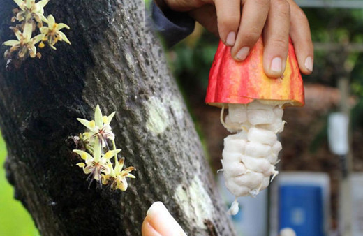 Her gün afiyetle tüketiyoruz! Bakın nasıl üretiliyormuş...