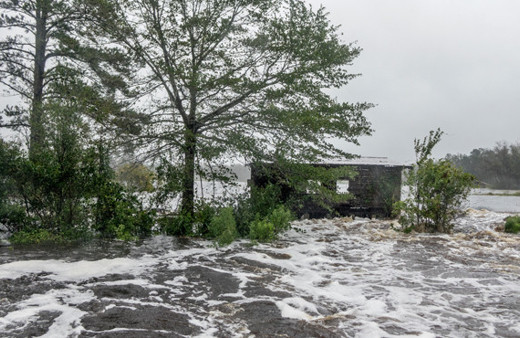 Miami Başkonsolosluğu Türk vatandaşlarını uyardı!