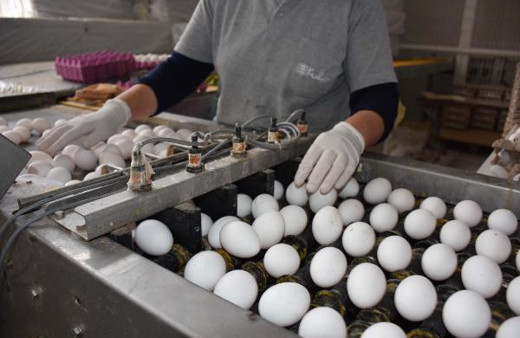 En ucuz protein kaynağı! Bir tas çorba parasına 4 kişilik aile doyar