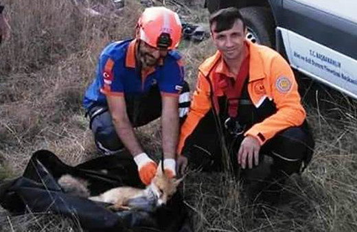 Kuyuya düşen tilkiyi AFAD kurtardı