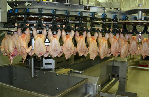 Beyaz ete yüzde 200 zam! 'Bunun adı fırsatçılık'