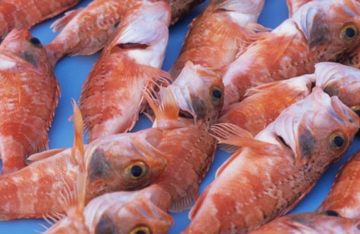 En besleyici yiyecek hangisi? Bilim insanları cevabını buldu!