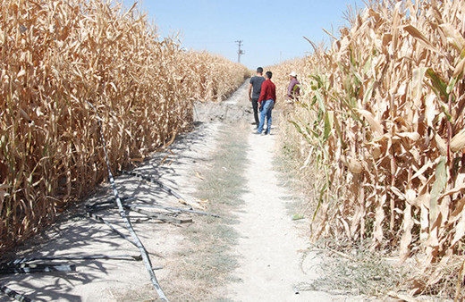 Duyan herkes oraya koştu: Felaketin eşiğinden dönüldü!