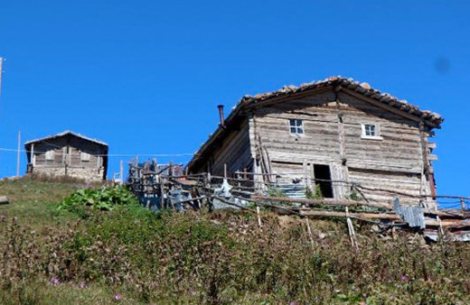 Trabzon'da yayla sakinleri karar aldı bundan sonra...