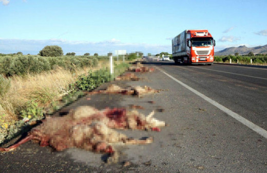 Çanakkale-İzmir otoyolunu kana bulayan kaza! 