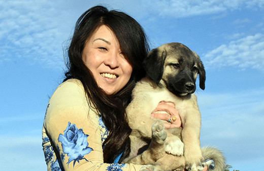 Turistlerden Kangal köpeklerine büyük ilgi