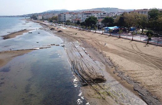 Yalova'da deniz suyu 25 metre çekildi! Bölge halkı endişeli