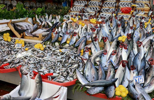 Sezon iyi gidiyor! Palamut fiyatı dip yaptı