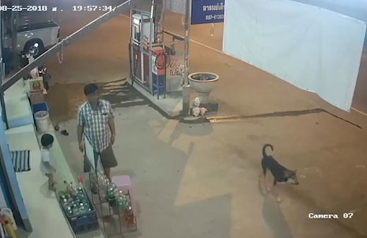 Kahraman babanın hayat kurtaran müdahalesi!