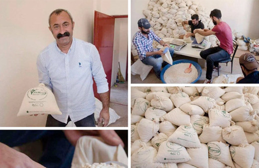 Ovacık'ın Komünist başkanı Mehmet Fatih Maçoğlu hazine arazisini ekip... 