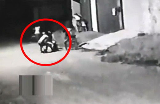 Pitbull dehşeti! Çocukların arasına daldı 