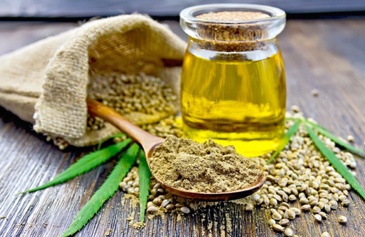 Kenevir neden yasaklandı şu özelliklerine bakın Türkiye'yi zengin eder