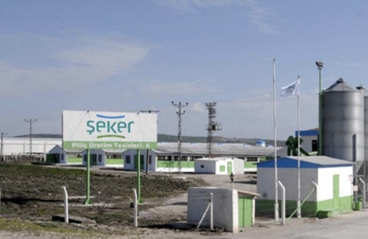 Şeker Piliç kimin sahipleri kim isimleri FETÖ gözaltısı