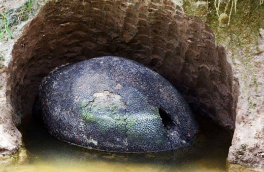 Yürüyüş sırasında rastladılar devasa yumurta şoke etti bakın ne çıktı?