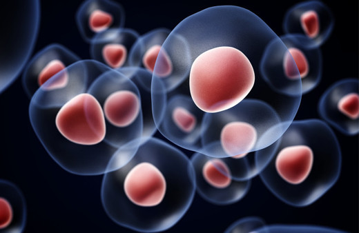 Kök hücre nedir kök hücre bağışı kaç yaşında nasıl yapılır yurt dışına da gidiyor