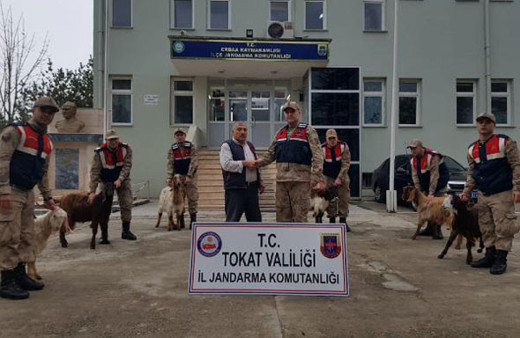 Cezaevinde ankesörlü telefonla dolandırdı buna pes denir!