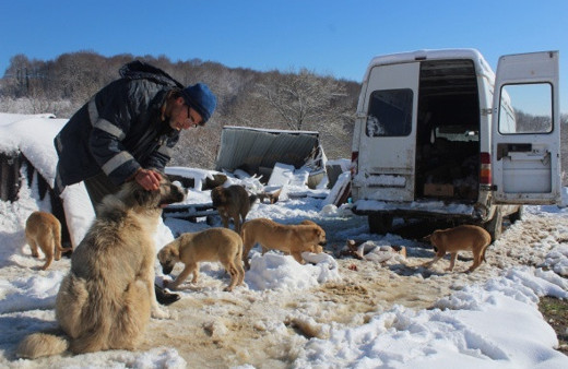 İstanbul'daki dairesini satıp dağ başına yerleşti parayı hayvanlara yediriyor