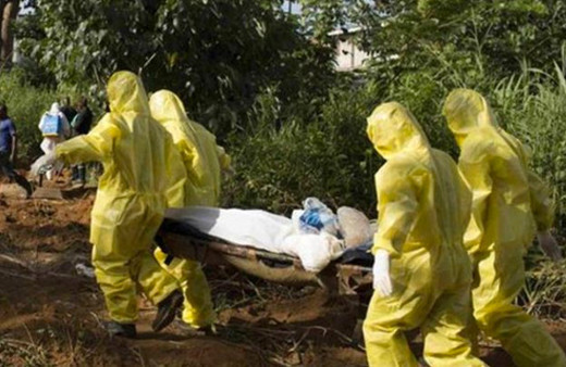 146 kişiyi öldüren Lassa Sıtması nedir hangi hayvandan bulaşır?