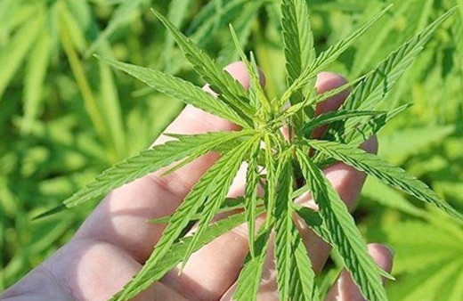 Sultanahmet'i başlarına yıkalım Altıncı Filo İstanbul'u bombalasın! 