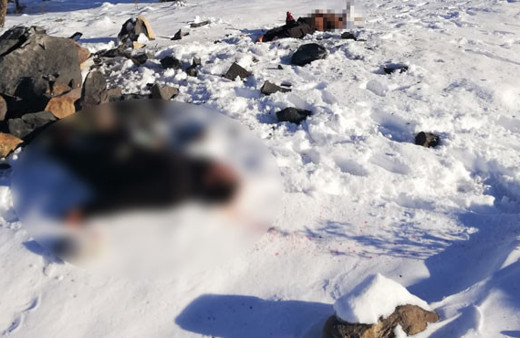 Korkunç manzara! Define ararken canlarından oluyorlardı