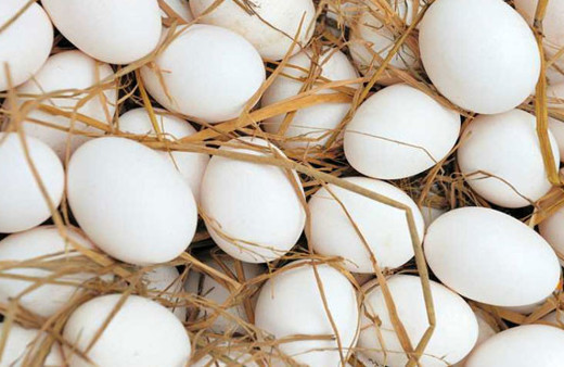 İşte bir yumurtanın organik olup olmadığını anlama yöntemleri