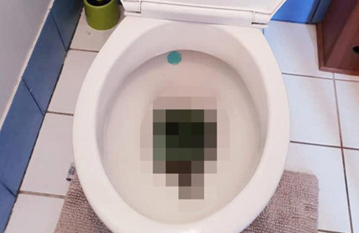 Tuvalete girdi gördüğü manzara karşısında kanı dondu! Boyu 3 metre