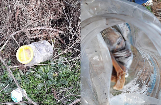 Kan donduran olay: Plastik bidonda bebek cesedi!