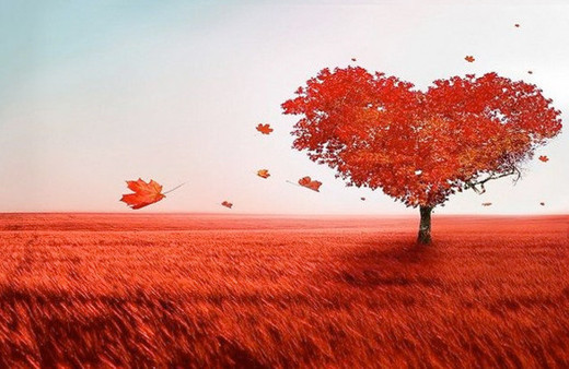 14 şubat hangi güne denk gelir 2019 ne hediye alınır? 