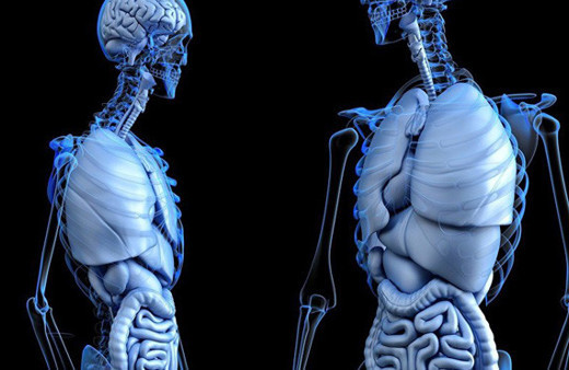 İnsan vücudunda keşfedildi! Meğer herkeste bulunuyormuş