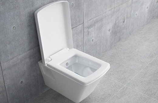 Bu haberden sonra tuvalete gidemeyeceksiniz! Klozette olanlar oldu