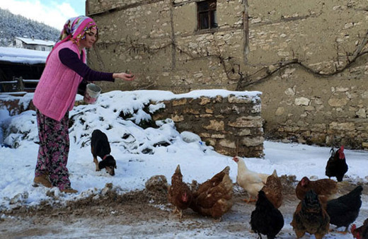 Okumak için köyden kamıştı şimdi Dubai'ye gitmek için gün sayıyor