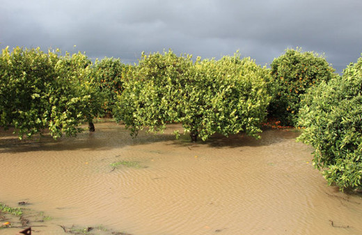 Pazarı zam vurdu fiyatlar 3 kat arttı oda başkanları başka esnaf başka konuştu