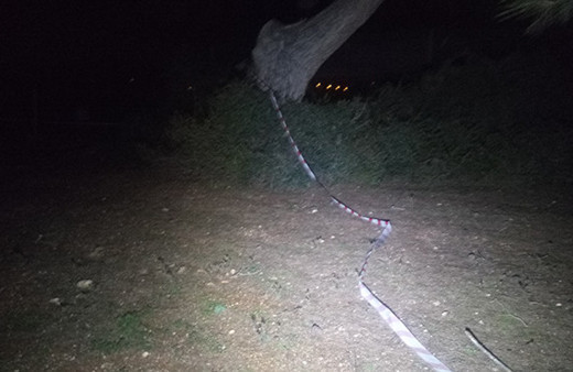 Çiftlikte korkunç olay: Toprağa gömülü halde bulundu!