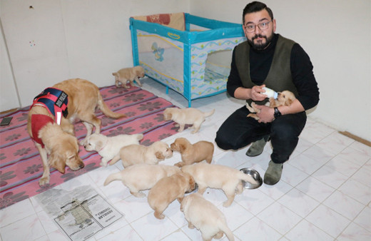 Sivaslı esnaf doğum yapan köpeğine apartmanda daire kiraladı 