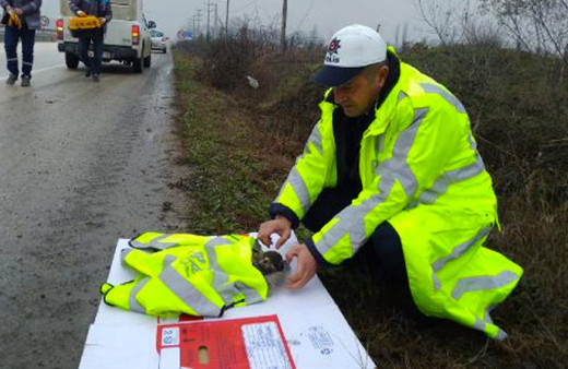 Polis memuru, yaralı şahinin üzerine yeleğini örttü