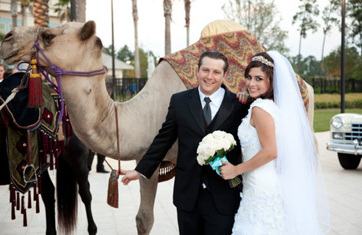 Mısır'da evlilik krizi 'Bırak evde kaldın kampanyası' kızların cevabı gecikmedi