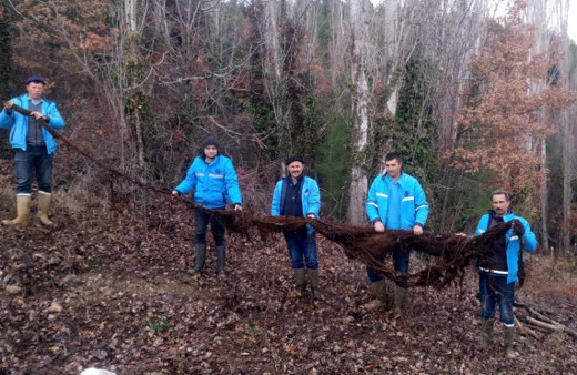 Su borusunun içinden çıktı: Ekipler şaşkına döndü!