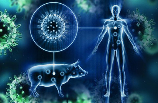 Ülke şokta: 169 kişi domuz gribinden öldü!