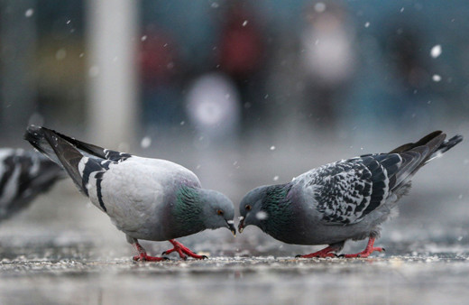 Hava tahmini yenilendi 5 gün kar var İstanbul ve Ankara da listede