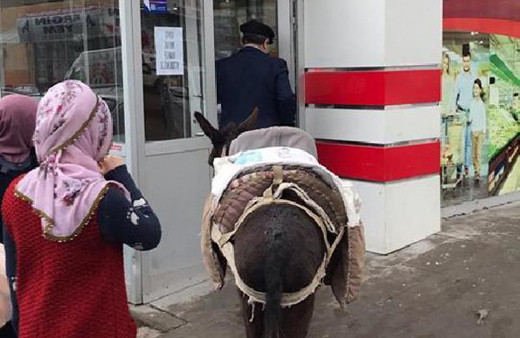 Poşet almamak için markete eşekle gitti