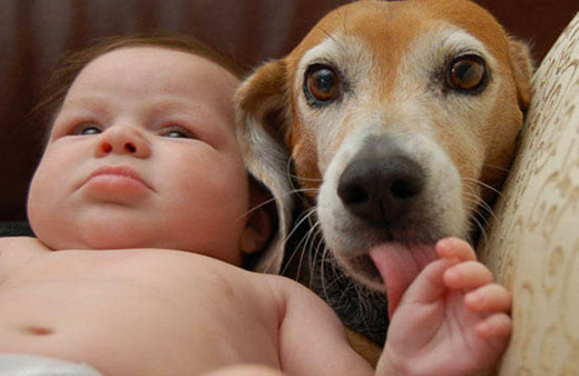 Evde kedi köpek beslemenin bebeklere inanılmaz faydası