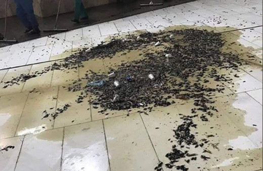 Mekke’de şok eden görüntü Mescid-i Haram'ı çekirge ve böcekler bastı