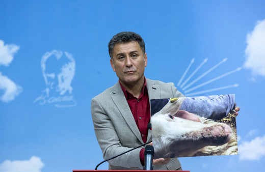 Bursa'da veba salgını iddası CHP'li Sarıbal açıklama yaptı