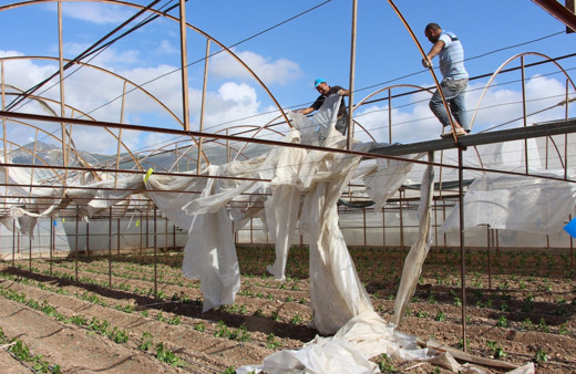 Hortum felaketinden sonra Tarım Bakanlığı'ndan flaş açıklama