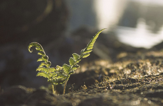 Cemrenin havaya düşmesi 2019 ne zaman?
