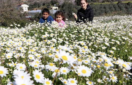 Cemre ilk nereye düşer 2019 bu ayın kaçında düşecek?