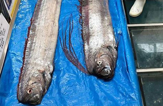 Bu görüntüler ülkeyi ayağa kaldırdı! 2011 felaketine işaret ediyor