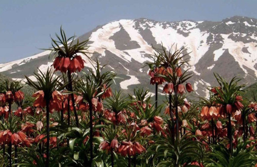 Cemre ne zaman düşecek ikinci ve üçüncü cemre tarihi 2019