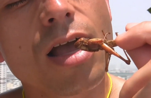 Açlıkla mücadele için çözüm böcek yemek mi? Şoke eden araştırma