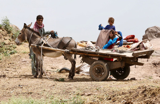 Pakistan Çin'le eşek ticareti konusunda anlaştı